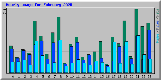 Hourly usage for February 2025