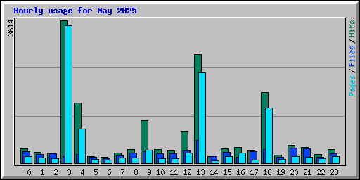 Hourly usage for May 2025