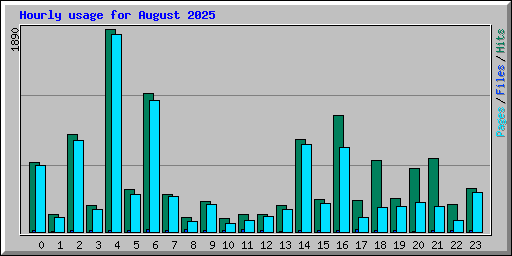 Hourly usage for August 2025