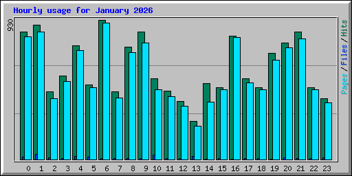 Hourly usage for January 2026